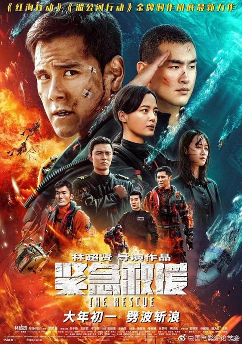 法国驾驶执照样本资料
